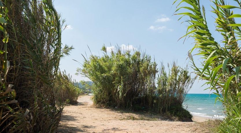 Photo of Ode To Kerkyra