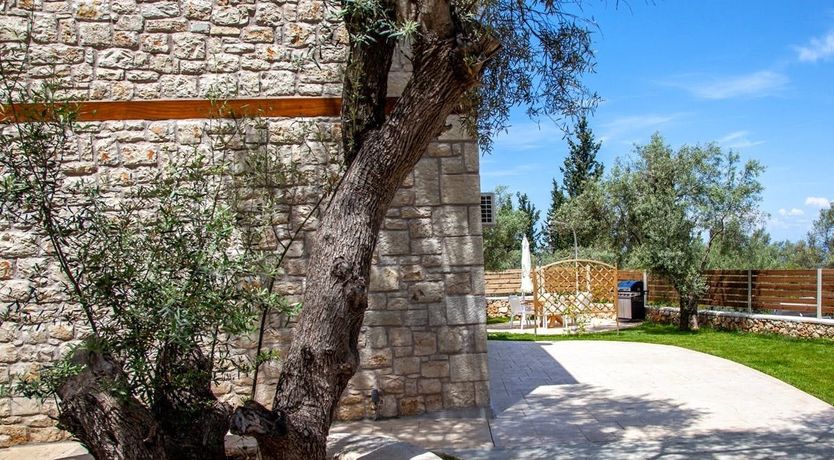 Photo of Olive & Lemon