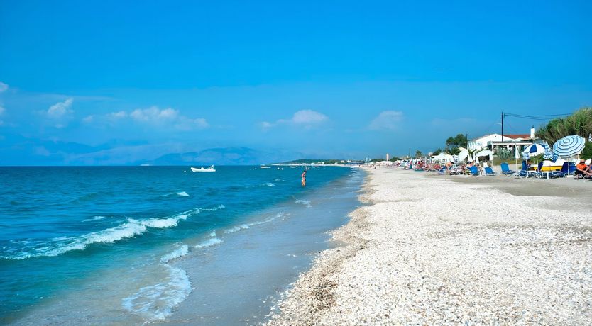 Photo of Coral Refresher