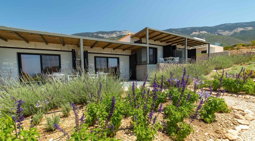 Photo of Ocean & Olive