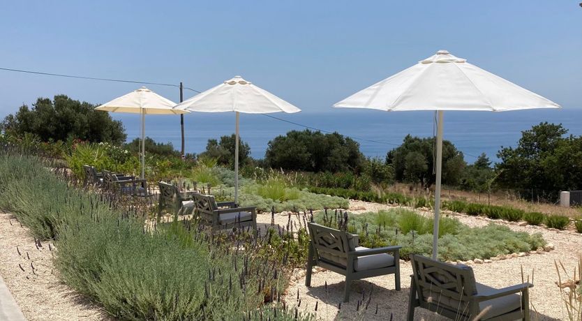 Photo of Ocean & Olive