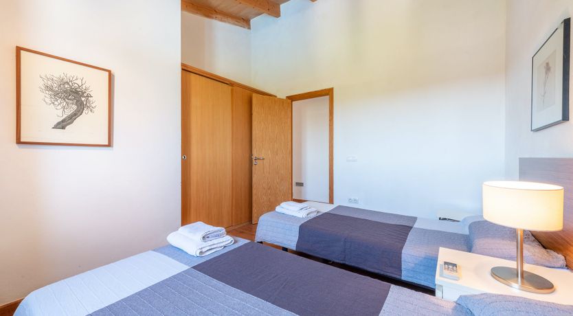 Photo of The Pure Light of Nature