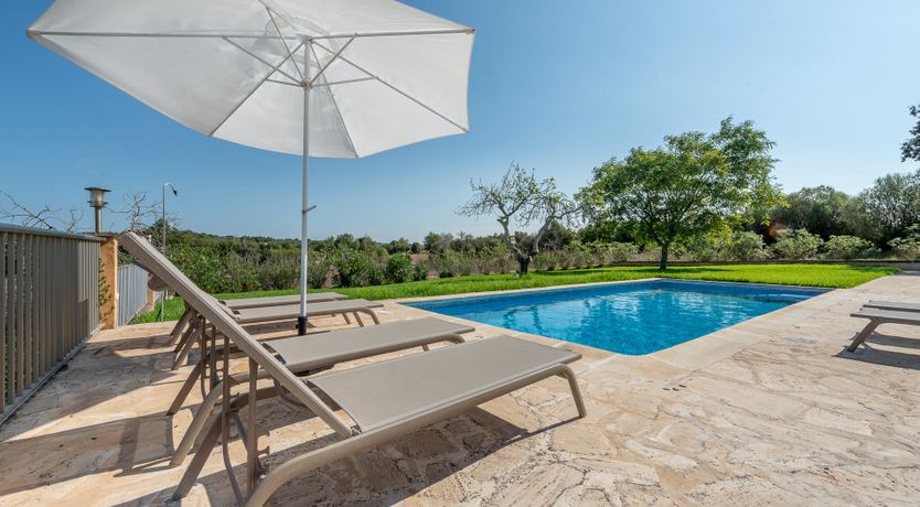 Photo of The Pure Light of Nature