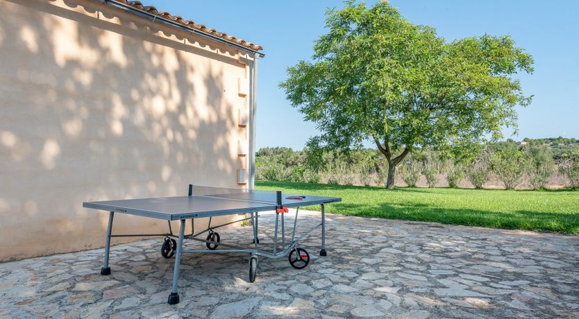 Photo of The Pure Light of Nature