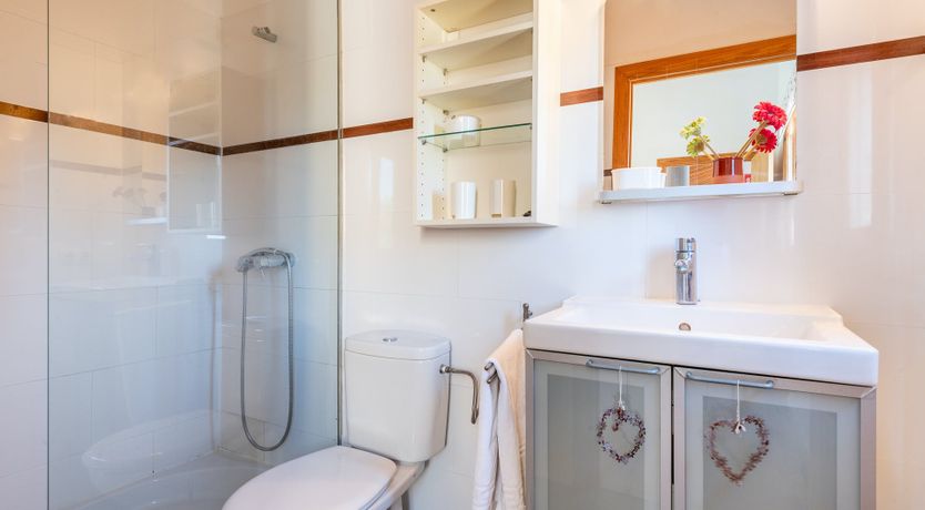 Photo of The Pure Light of Nature