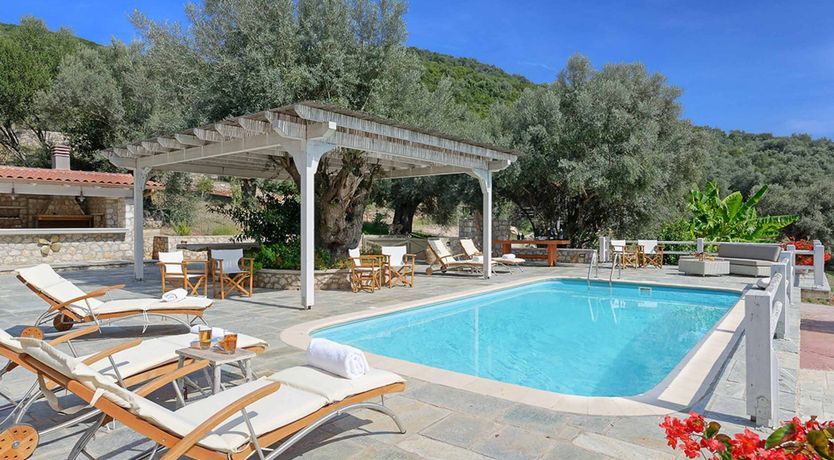 Photo of Olives All Around