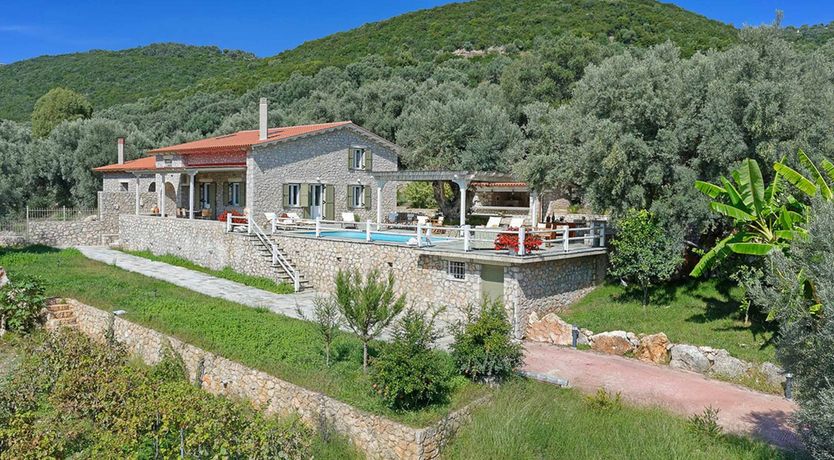 Photo of Olives All Around