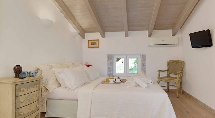 Photo of Olives All Around