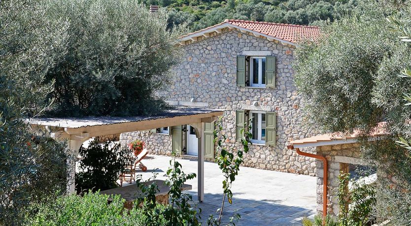 Photo of Olives All Around