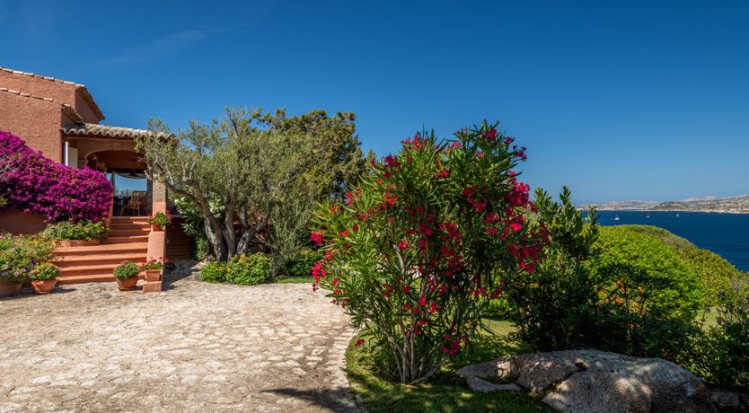 Photo of Feels Like Paradise