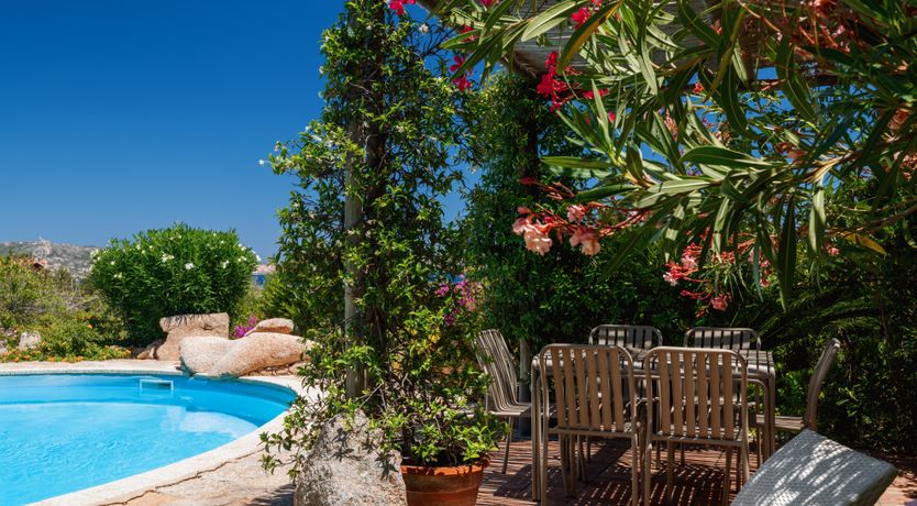 Photo of Feels Like Paradise