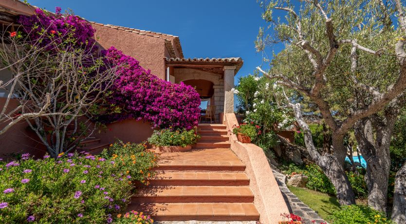 Photo of Feels Like Paradise