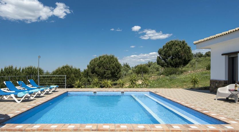 Photo of Spanish Grove