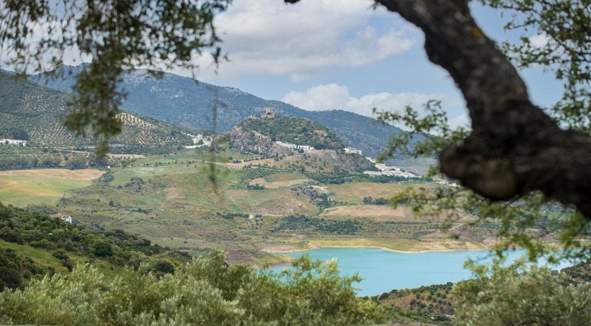 Photo of A Touch of Sun