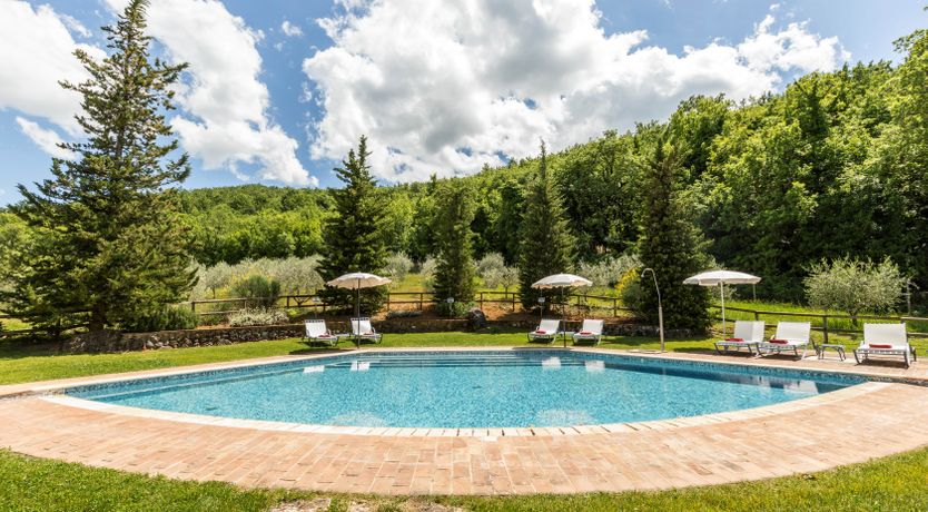 Photo of The Olive & the Vine