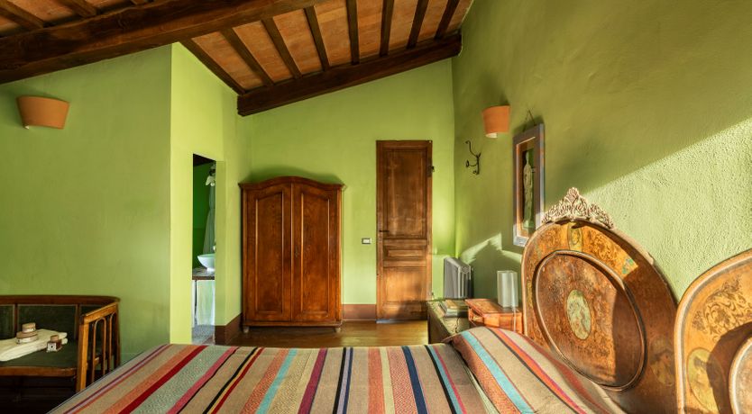 Photo of The Olive & the Vine