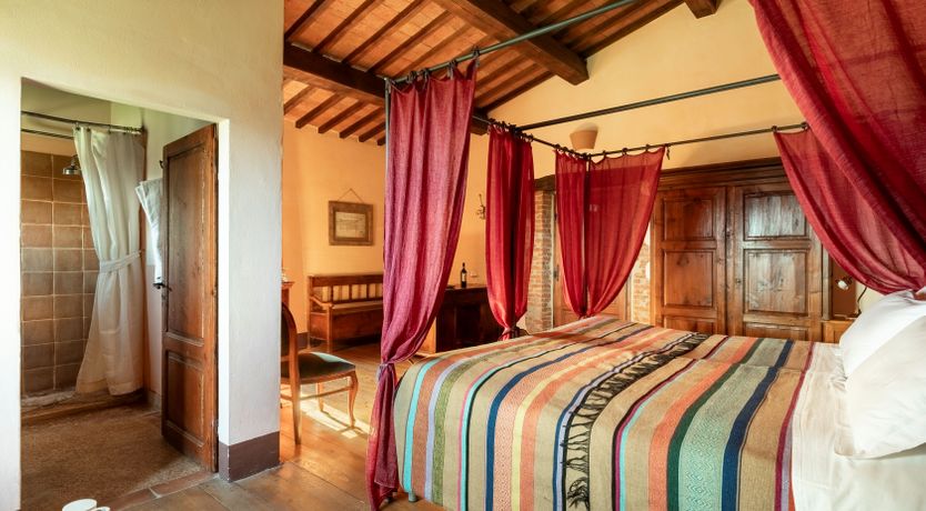 Photo of The Olive & the Vine