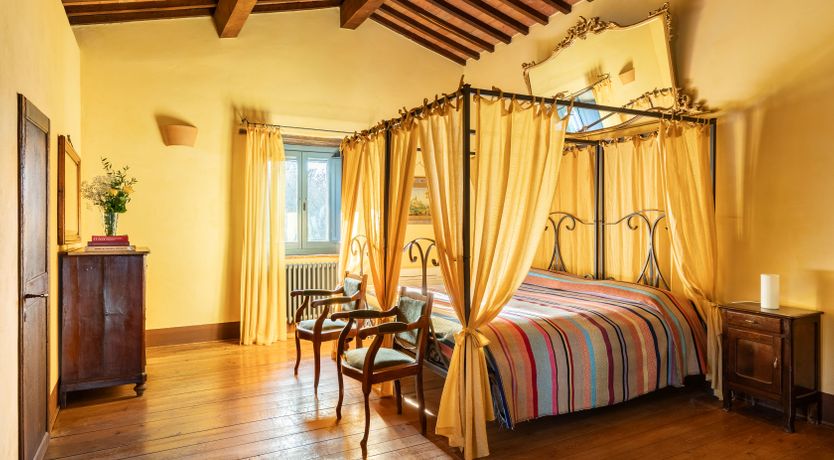 Photo of The Olive & the Vine