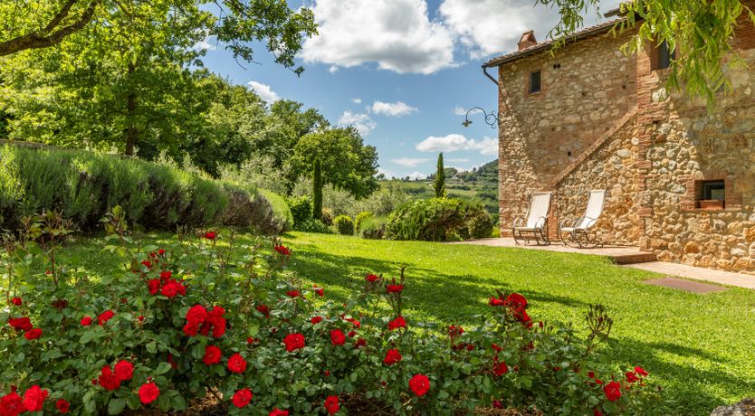 Photo of The Olive & the Vine