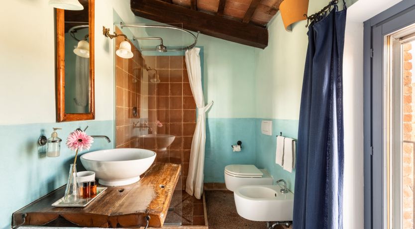 Photo of The Olive & the Vine