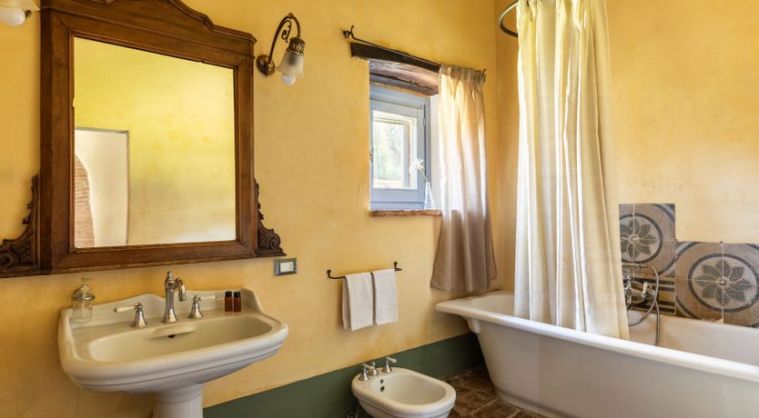 Photo of The Olive & the Vine