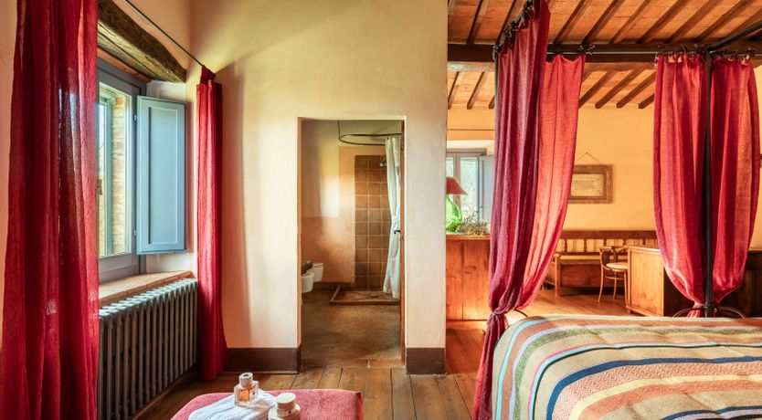 Photo of The Olive & the Vine