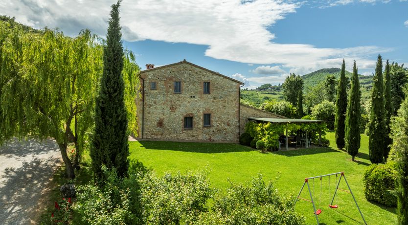 Photo of The Olive & the Vine