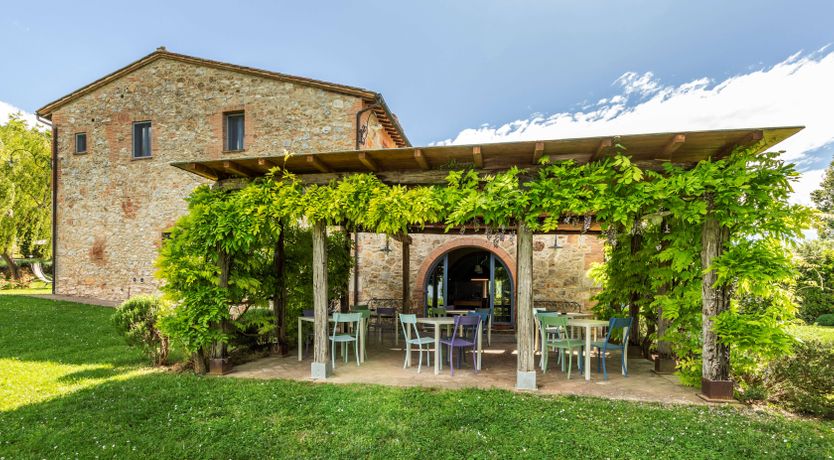 Photo of The Olive & the Vine