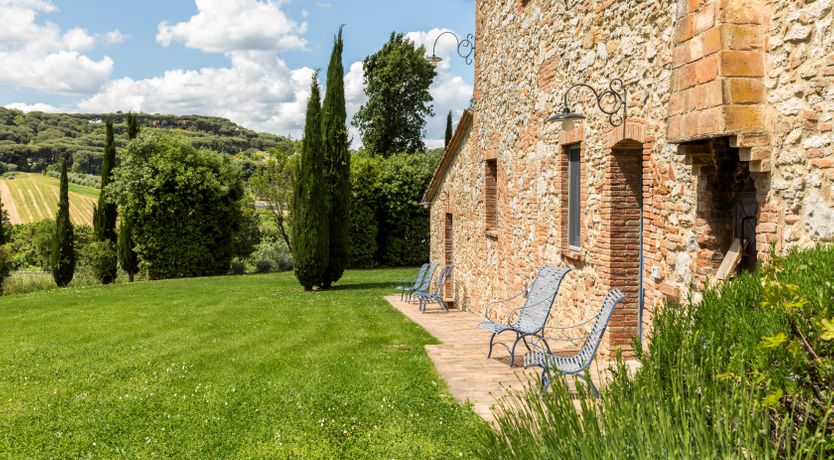 Photo of The Olive & the Vine