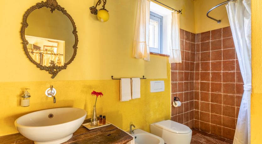 Photo of The Olive & the Vine