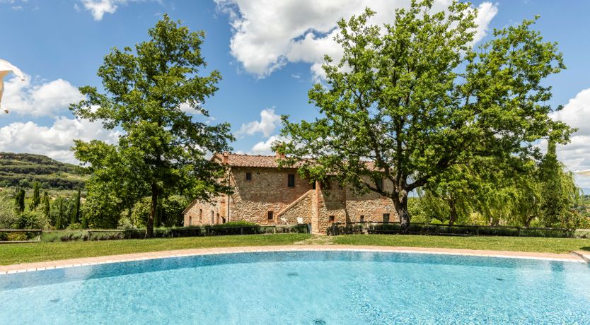 Photo of The Olive & the Vine