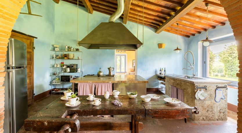 Photo of The Olive & the Vine