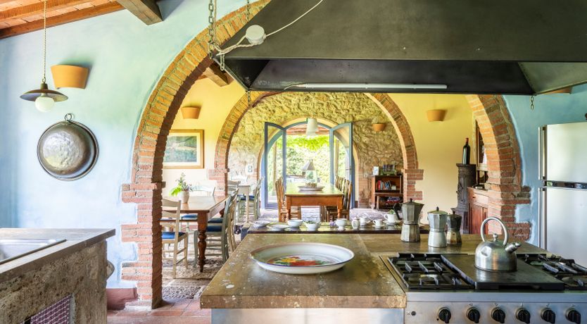 Photo of The Olive & the Vine