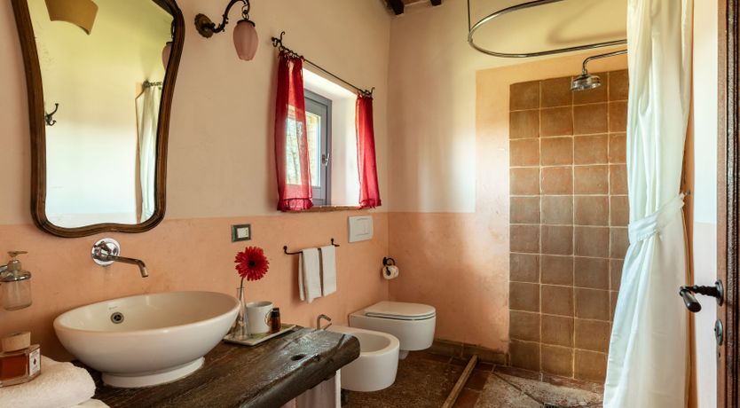 Photo of The Olive & the Vine