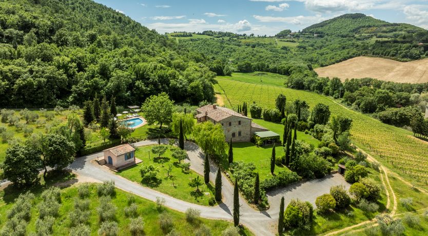 Photo of The Olive & the Vine