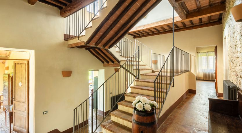 Photo of The Olive & the Vine