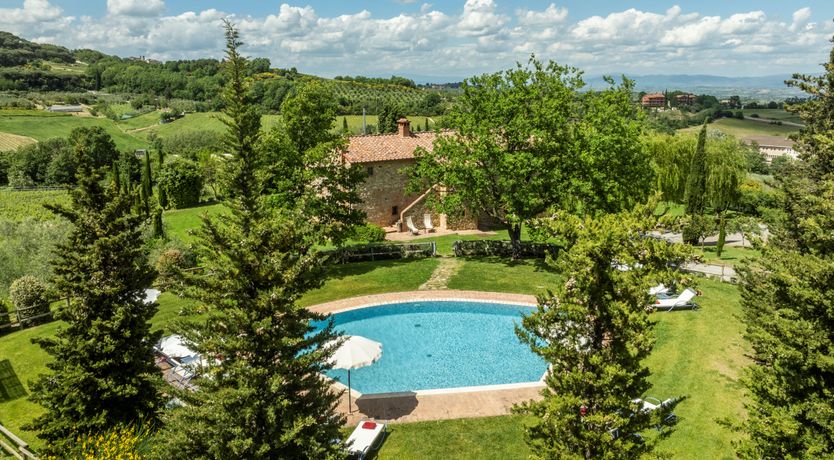 Photo of The Olive & the Vine