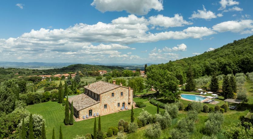 Photo of The Olive & the Vine