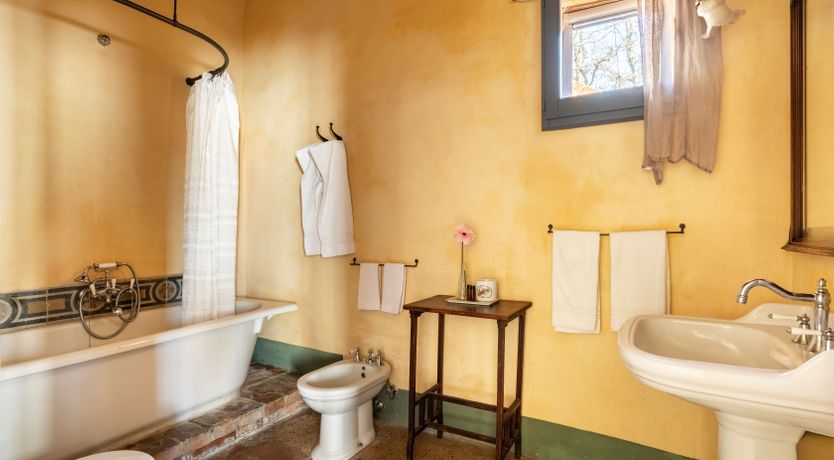 Photo of The Olive & the Vine