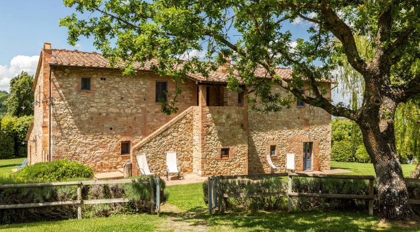 Photo of The Olive & the Vine