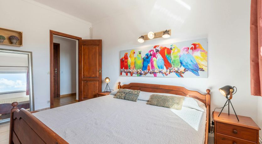 Photo of Peace & Pines