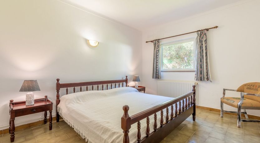 Photo of Peace & Pines