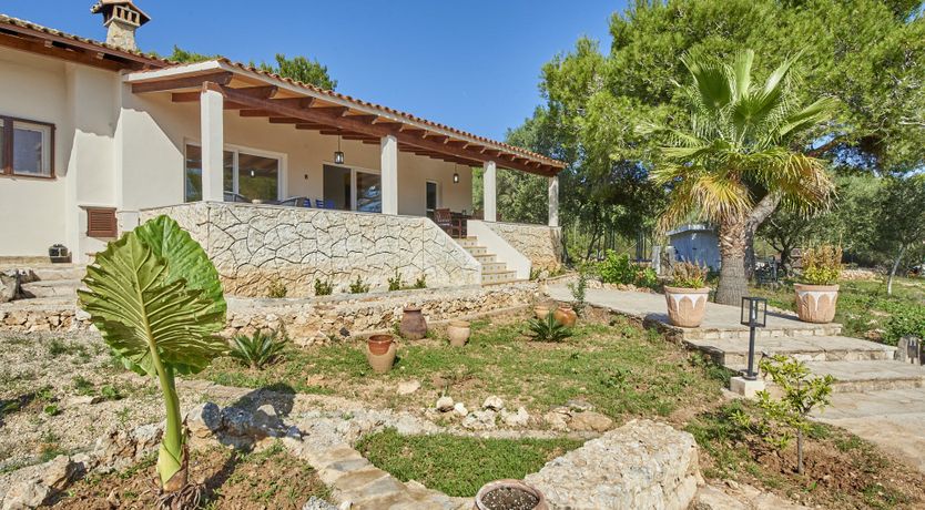 Photo of Peace & Pines