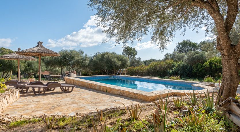 Photo of Peace & Pines