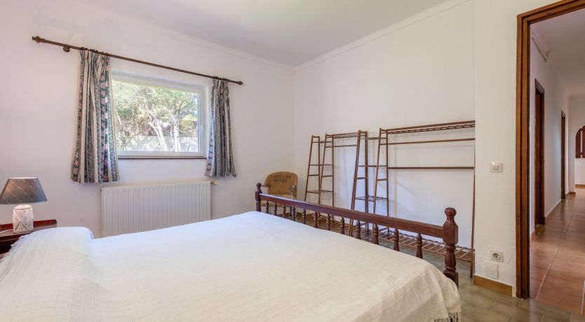 Photo of Peace & Pines