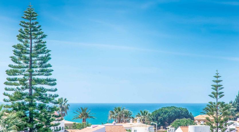 Photo of The Long Stretch