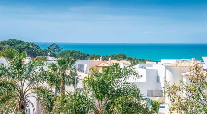 Photo of The Long Stretch