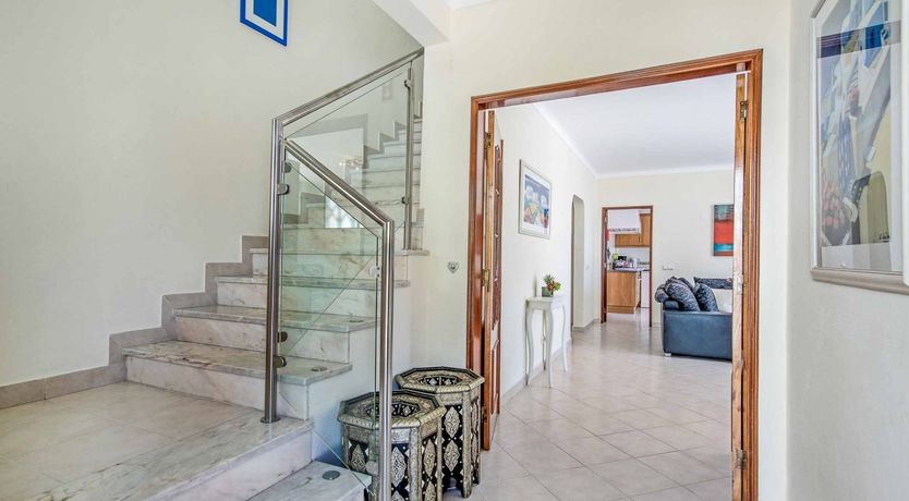 Photo of The Long Stretch