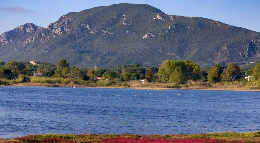 Photo of Kircos Calling