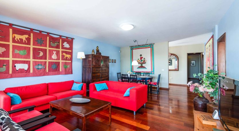 Photo of Carmen Canary